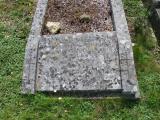 image of grave number 155036